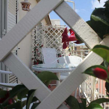 B&B Il Giglio Bianco Σορέντο Εξωτερικό φωτογραφία